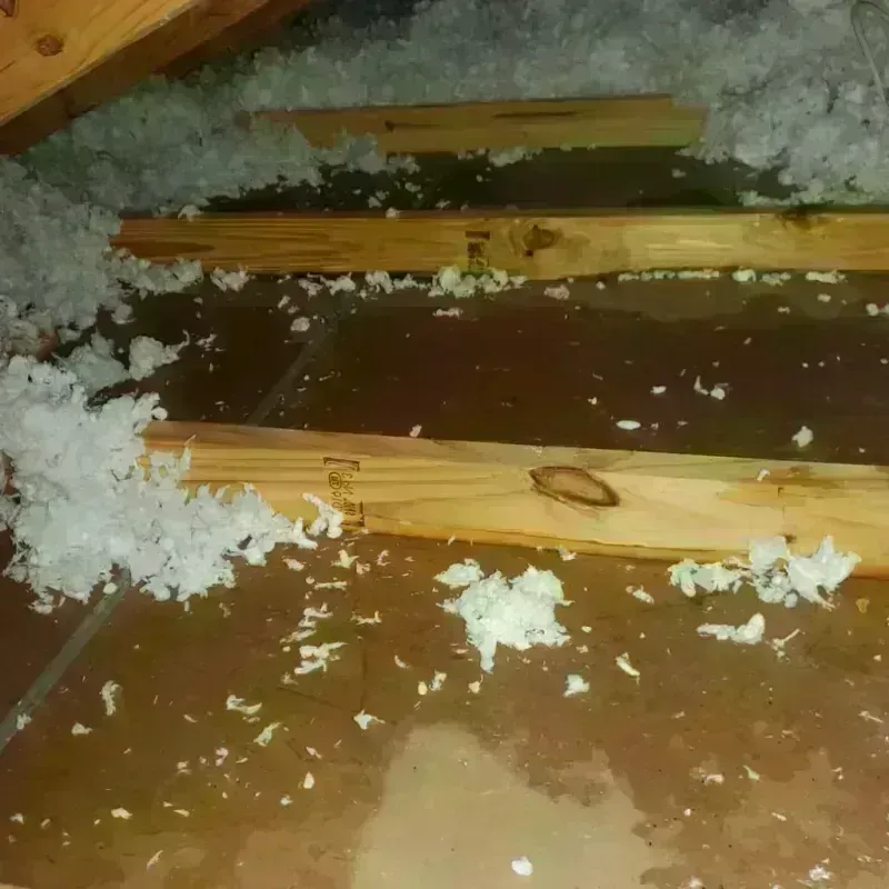 Attic Water Damage in Choctaw Lake, OH