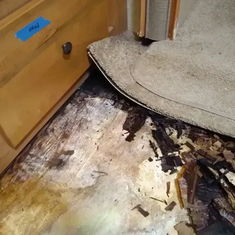 Best Wood Floor Water Damage Service in Choctaw Lake, OH